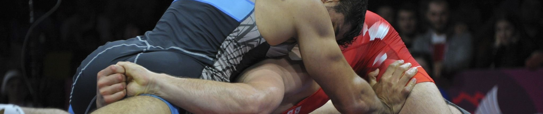 Birkózó szakosztály